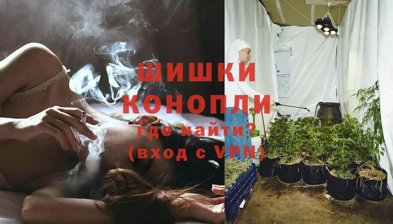 Бошки Шишки White Widow  Багратионовск 